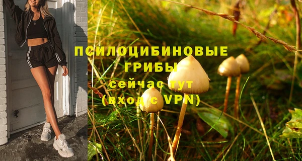таблы Арсеньев
