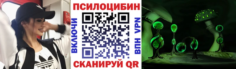 MEGA ТОР  Сорск  Псилоцибиновые грибы мухоморы 